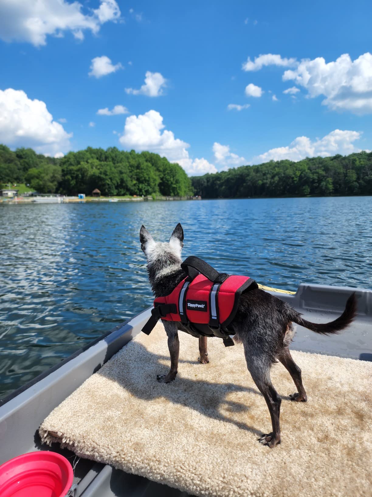 Stearns Adult Life Vest, USCG Approved Type III Life Jacket, PFD for Boating, Swimming, Watersports, & More, Standard & Oversized Fits customer photo 1