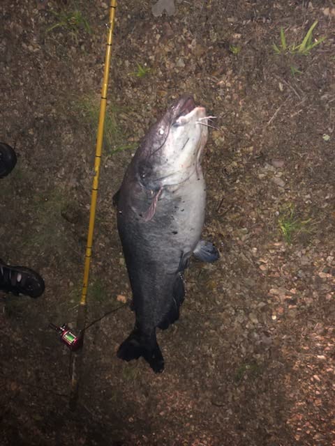 Berkley Trilene Big Game Monofilament Fishing Line customer photo 1
