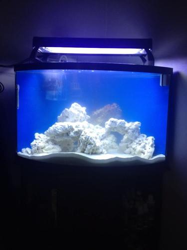 CaribSea South Sea Base Rock for Aquarium - 40 lb - Natural Rock for Aquascaping, Ideal for Saltwater Tanks, Enhances Aquarium Design & Supports Aquatic Life customer photo 1