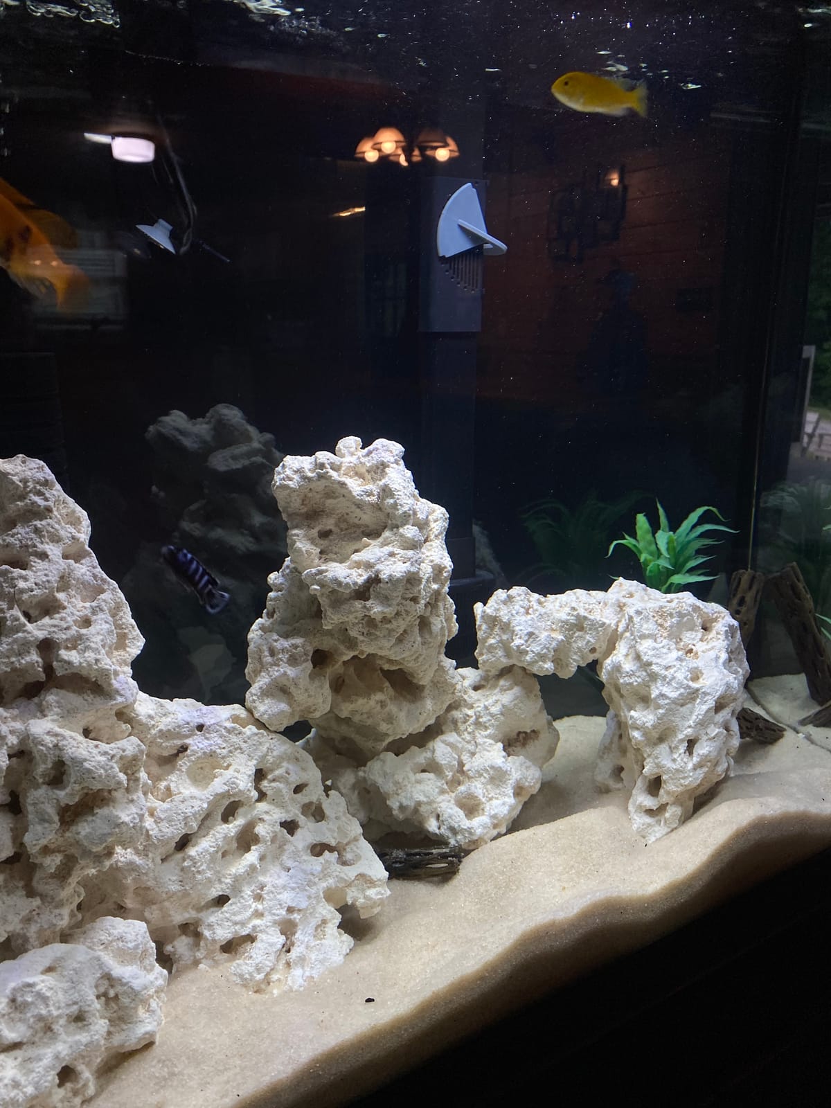 CaribSea South Sea Base Rock for Aquarium - 40 lb - Natural Rock for Aquascaping, Ideal for Saltwater Tanks, Enhances Aquarium Design & Supports Aquatic Life customer photo 2