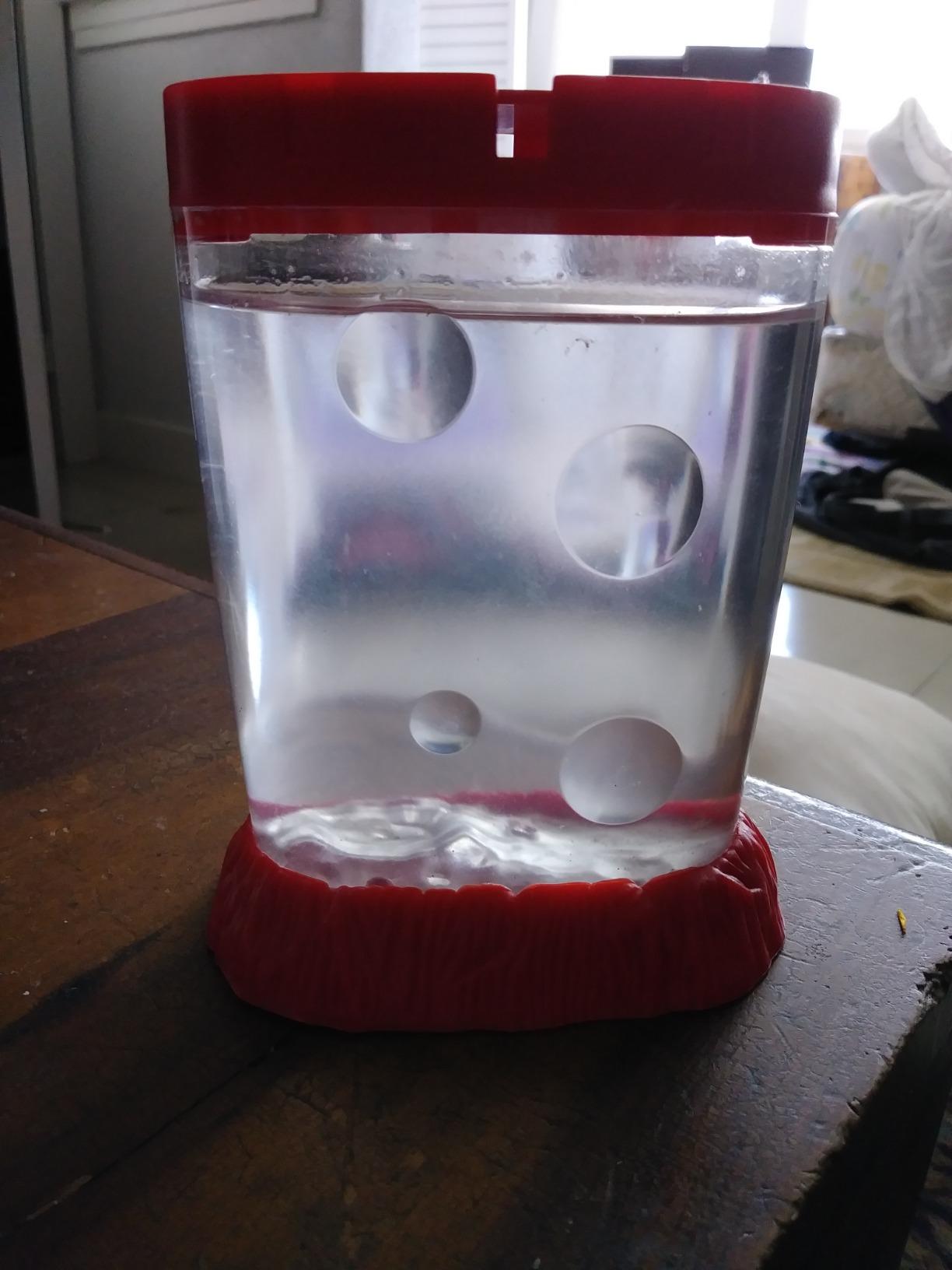 Schylling Sea Monkeys Ocean Zoo - Colors May Vary customer photo 1