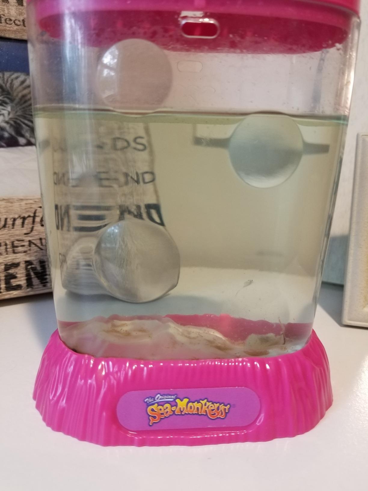 Schylling Sea Monkeys Ocean Zoo - Colors May Vary customer photo 2