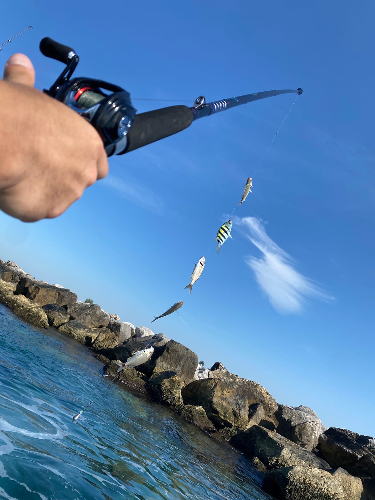 Ahi RSB Sabiki Stick Bait Catcher Rod customer photo 1