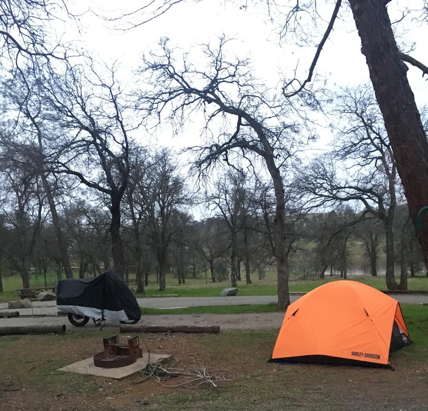 Harley-Davidson Dome Tent w/Vestibule Motorcycle Storage, Orange HDL-10010A customer photo 1