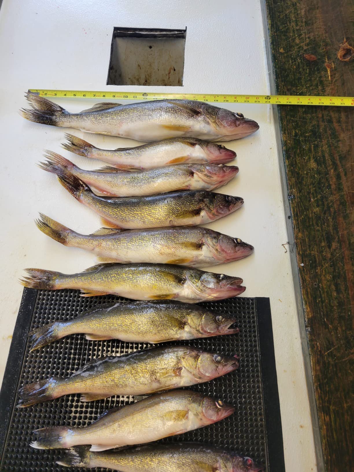 Okuma Classic Pro GLT & Rods customer photo 2