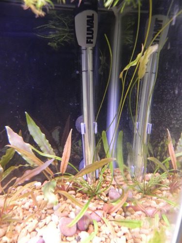 Fluval M 50-Watt Submersible Aquarium Heater for Fresh & Saltwater Tanks customer photo 1
