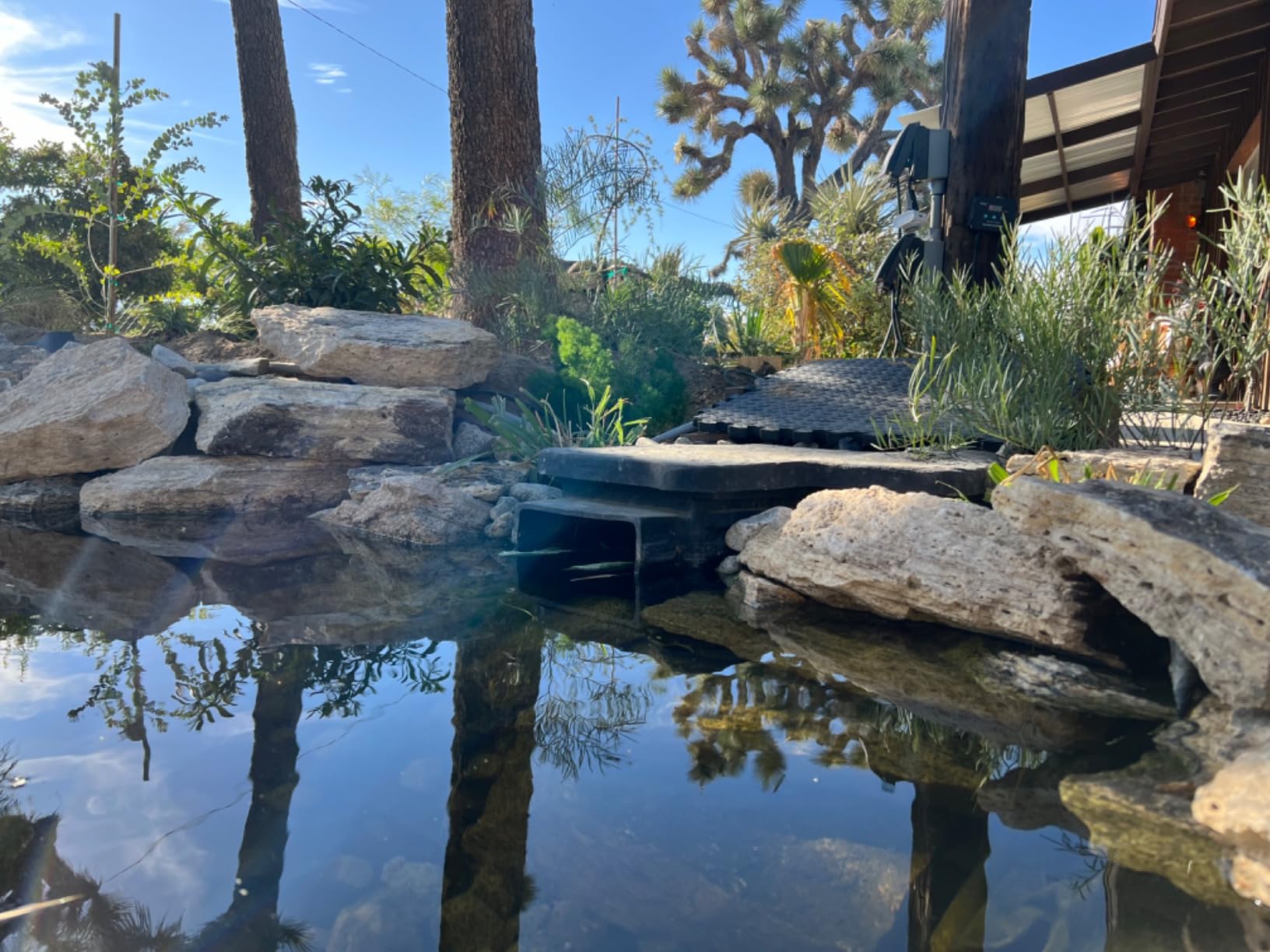 EasyPro PS10E Eco-Series Ovation Pond Skimmer for Pumps Up to 8100 Gallons-Per-Hour customer photo 2