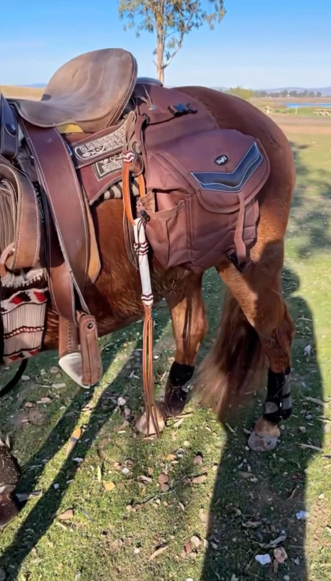 Tough 1 Insulated Saddle Bag with Pockets customer photo 1