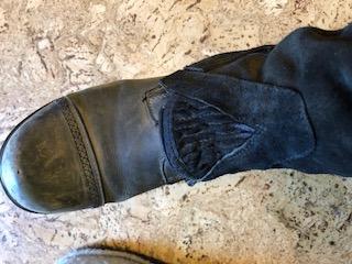 Perri's Zipper Adult Half Chap customer photo 2