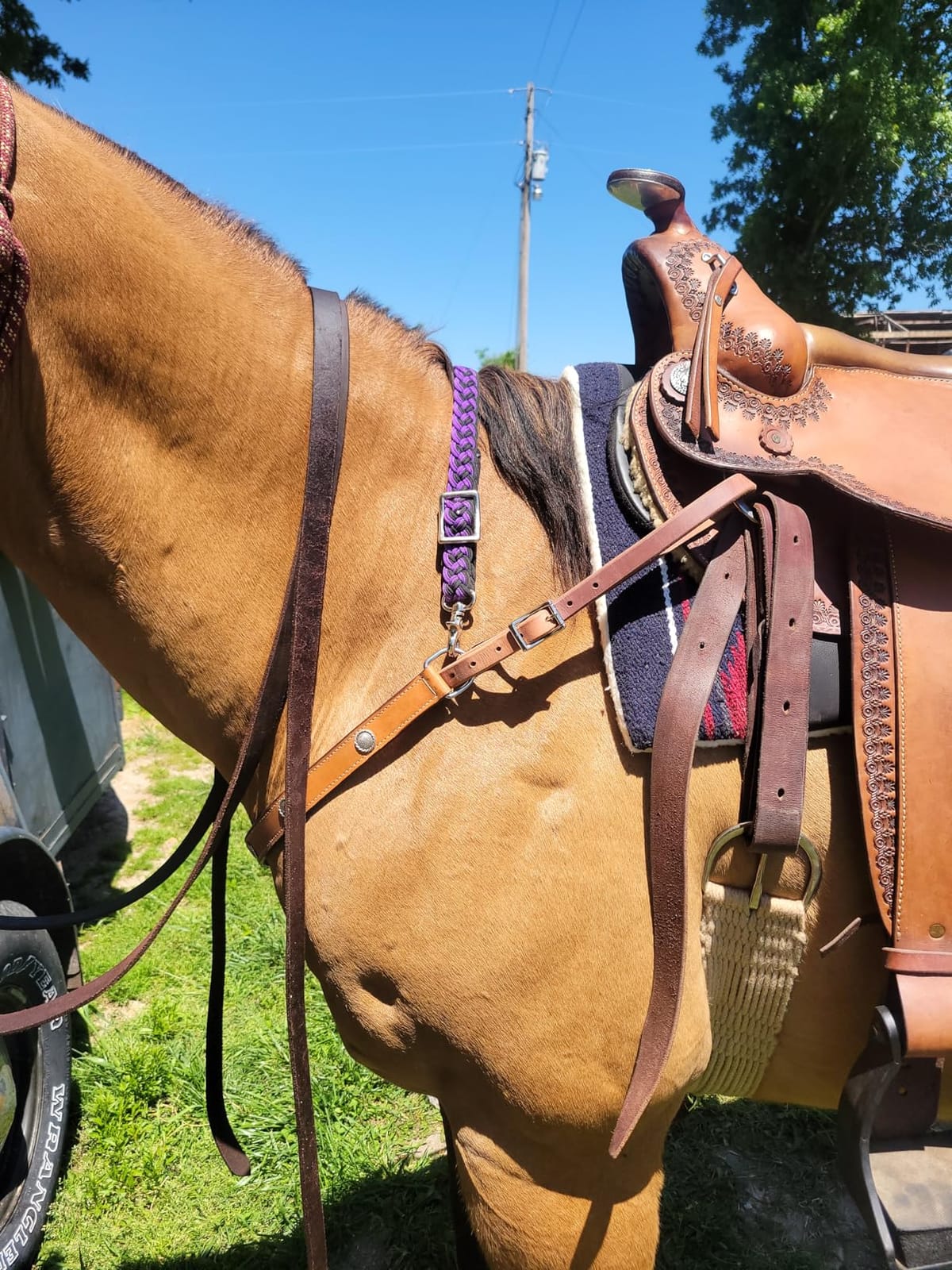 Tough 1 Royal King Working Breast Collar customer photo 1