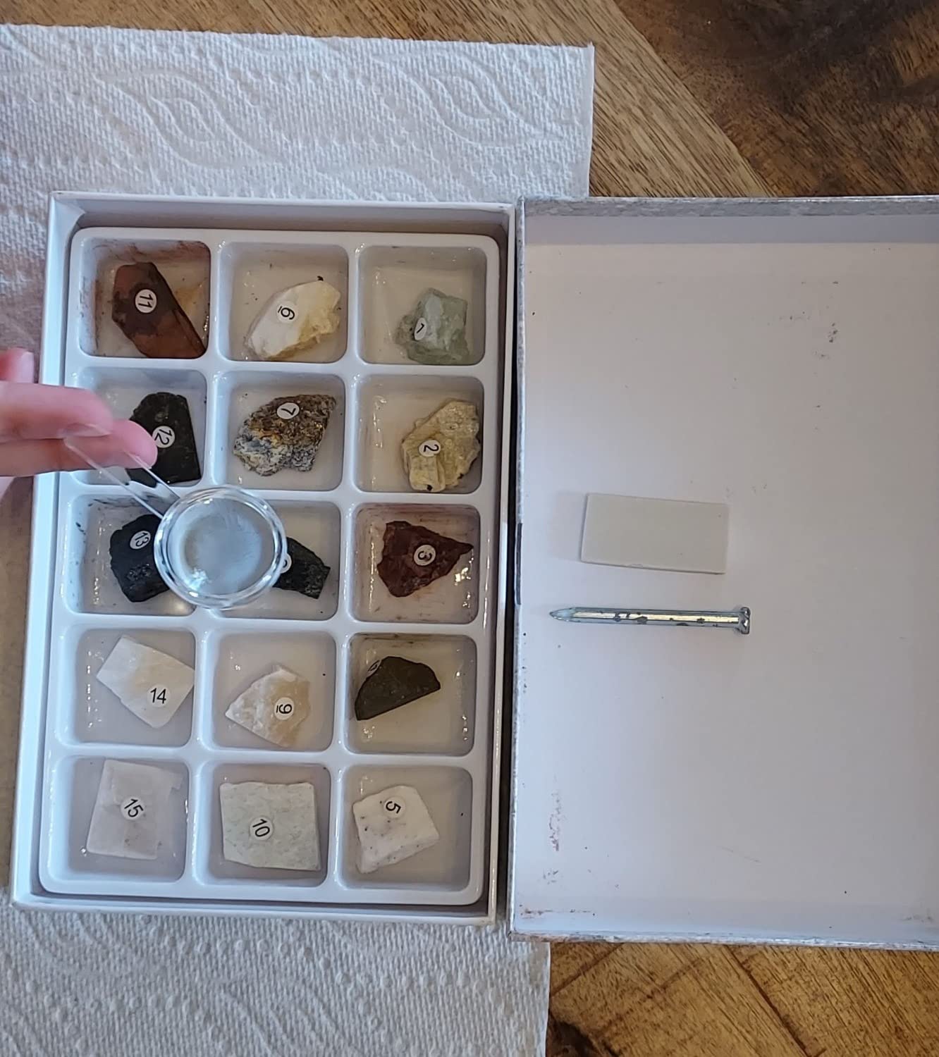 STEM Toy Mineral Science Kit Geology Rock Specimen for Young Geologists customer photo 2