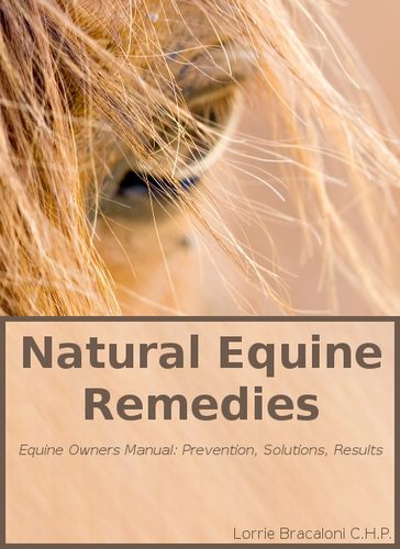 Vetericyn Plus Horse Wound Care Spray | Equine Healing Aid and Skin Repair, Clean Wounds, Relieve Itchy Skin. 16 ounces customer photo 1