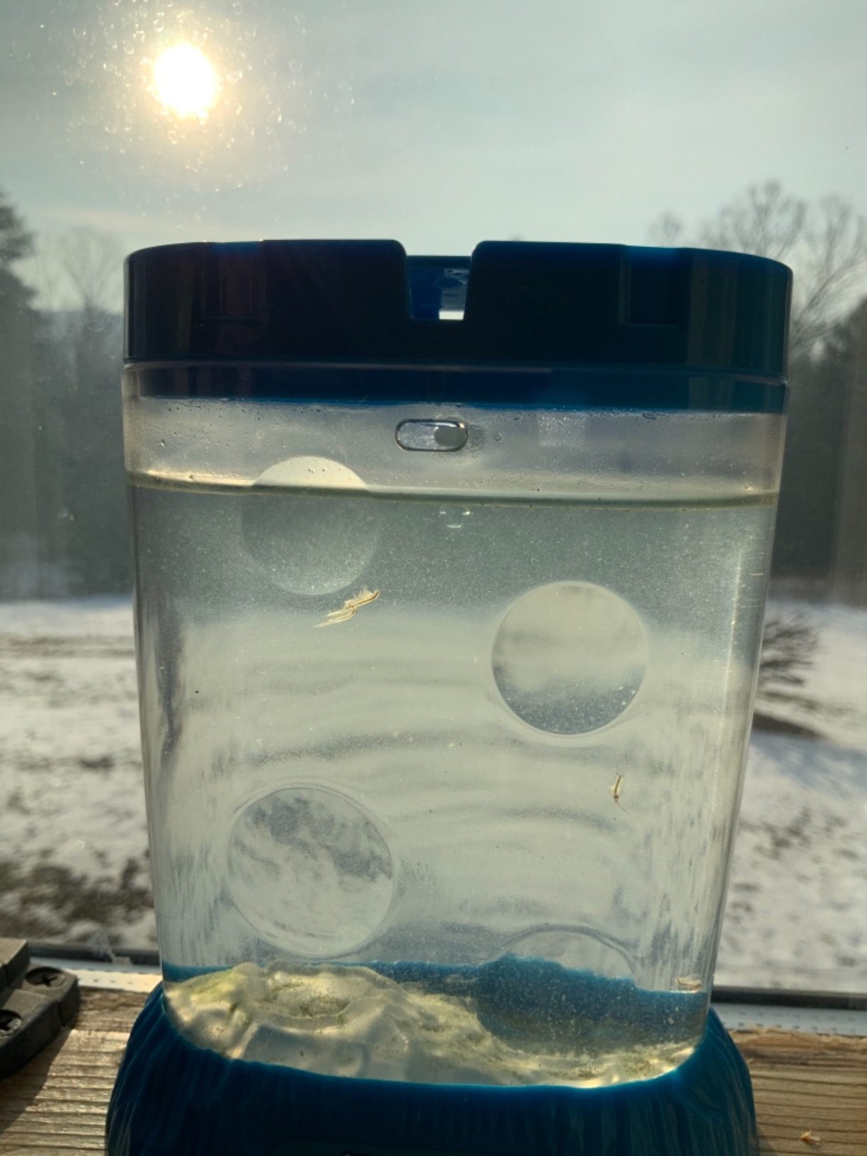 The Original Sea Monkeys - Ocean Zoo - Grow Your Own Pets Science Kit- Includes Eggs, Food, and Water Purifier, Color May Vary customer photo 1