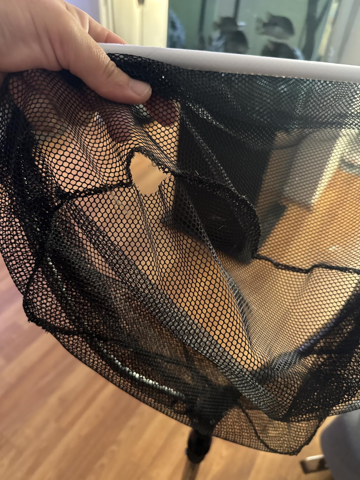 Aquascape Heavy-Duty Pond Net with Extendable Handle, Ideal for Safe Koi and Fish Handling, Durable Fish-Safe Mesh, 36 to 69-Inch Adjustable Length, 98560 customer photo 1
