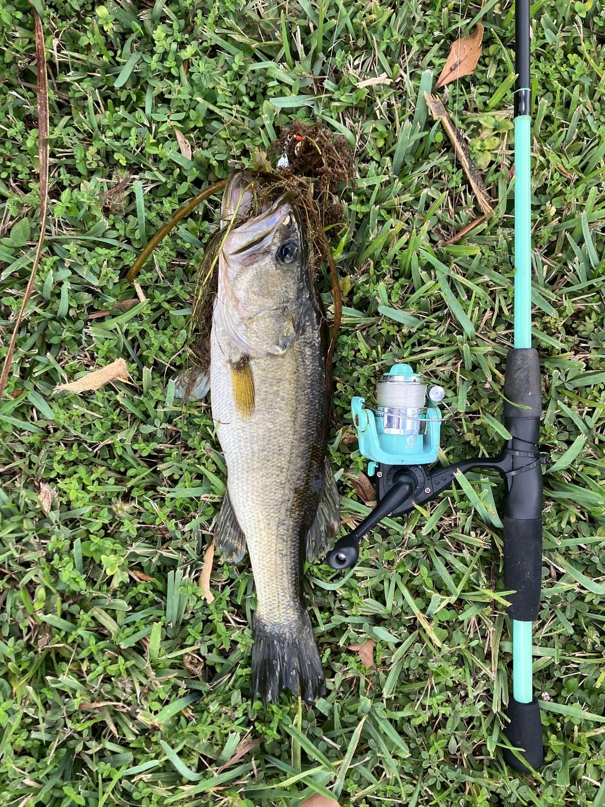 BOOYAH Pond Magic Small-Water Spinner-Bait Bass Fishing Lure customer photo 1