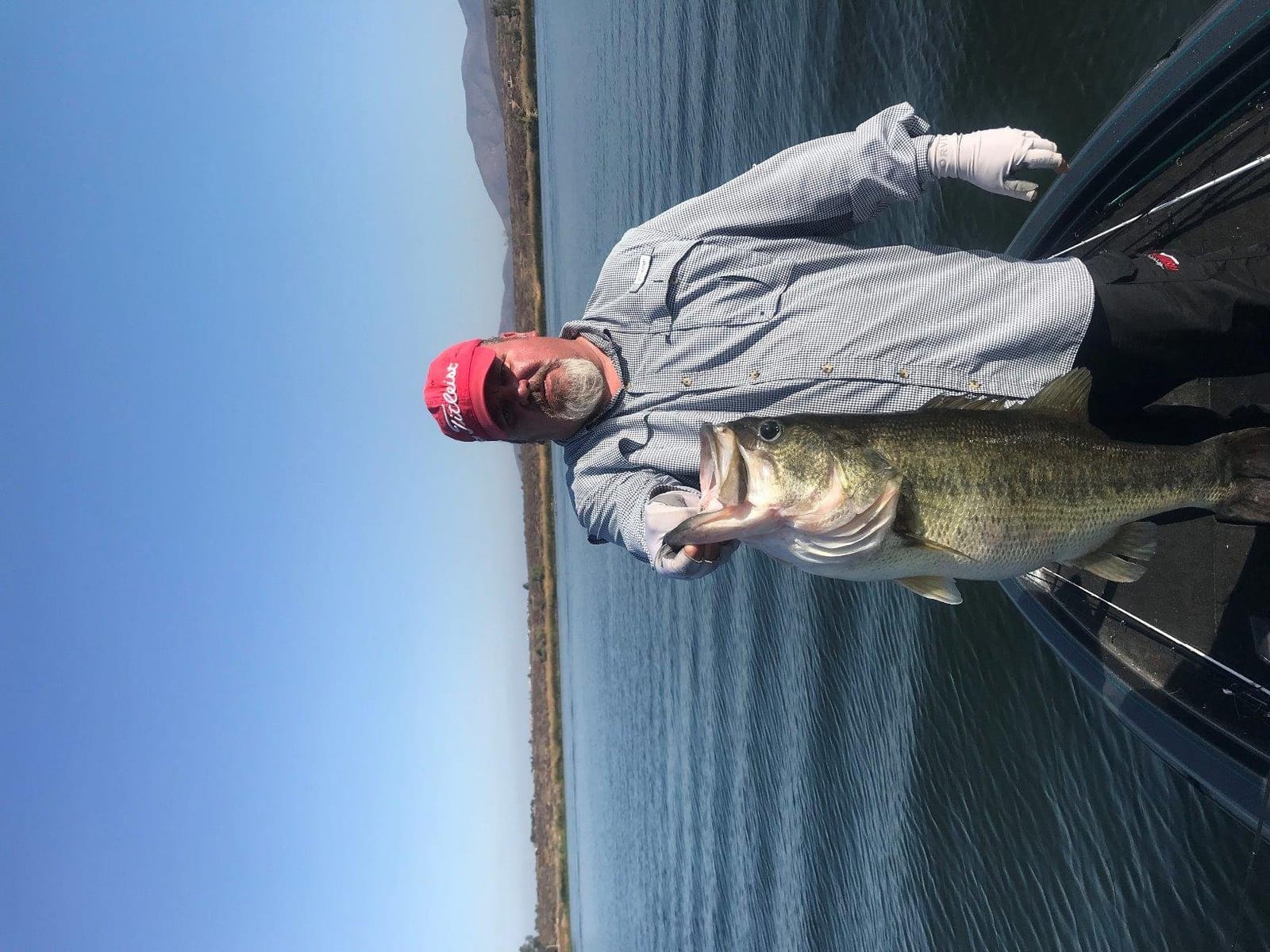 10 Best Zoom Soft Plastics (October 2026)