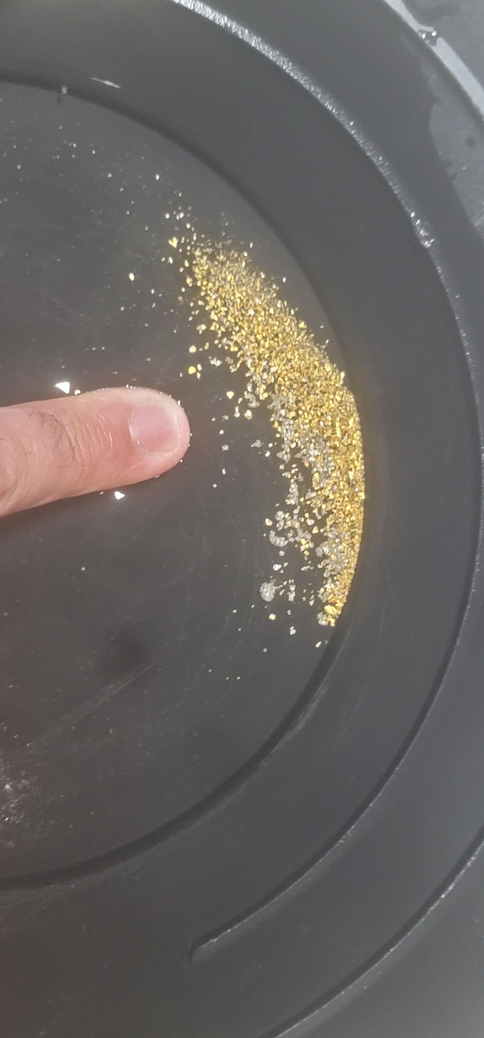 Stansport Professional Gold Pans, 10.5-Inch Diameter customer photo 2