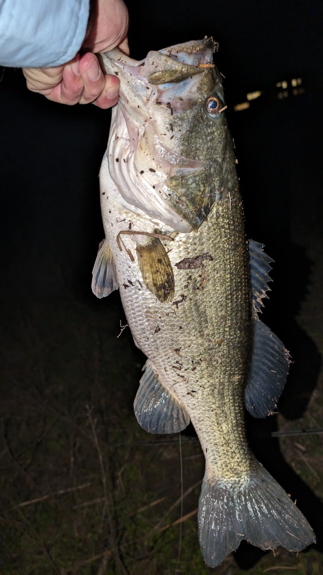 Z-Man Micro Chatterbait customer photo 1