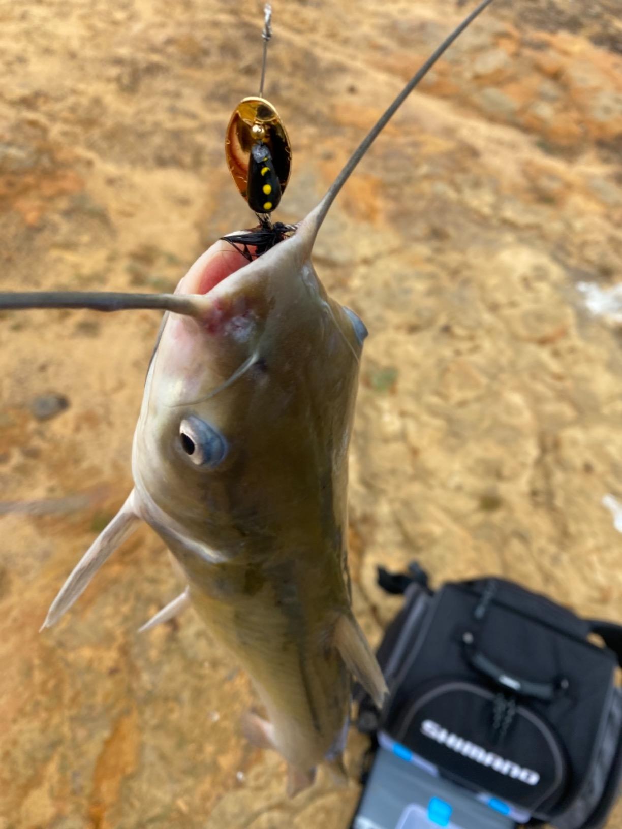 Panther Martin Classic Regular Teardrop Spinners Fishing Lure customer photo 2