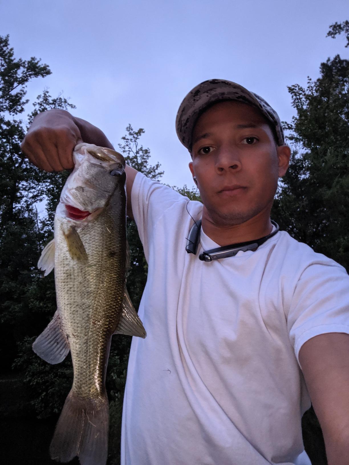 Strike King Premier Plus Buzzbait - The Double Take customer photo 1
