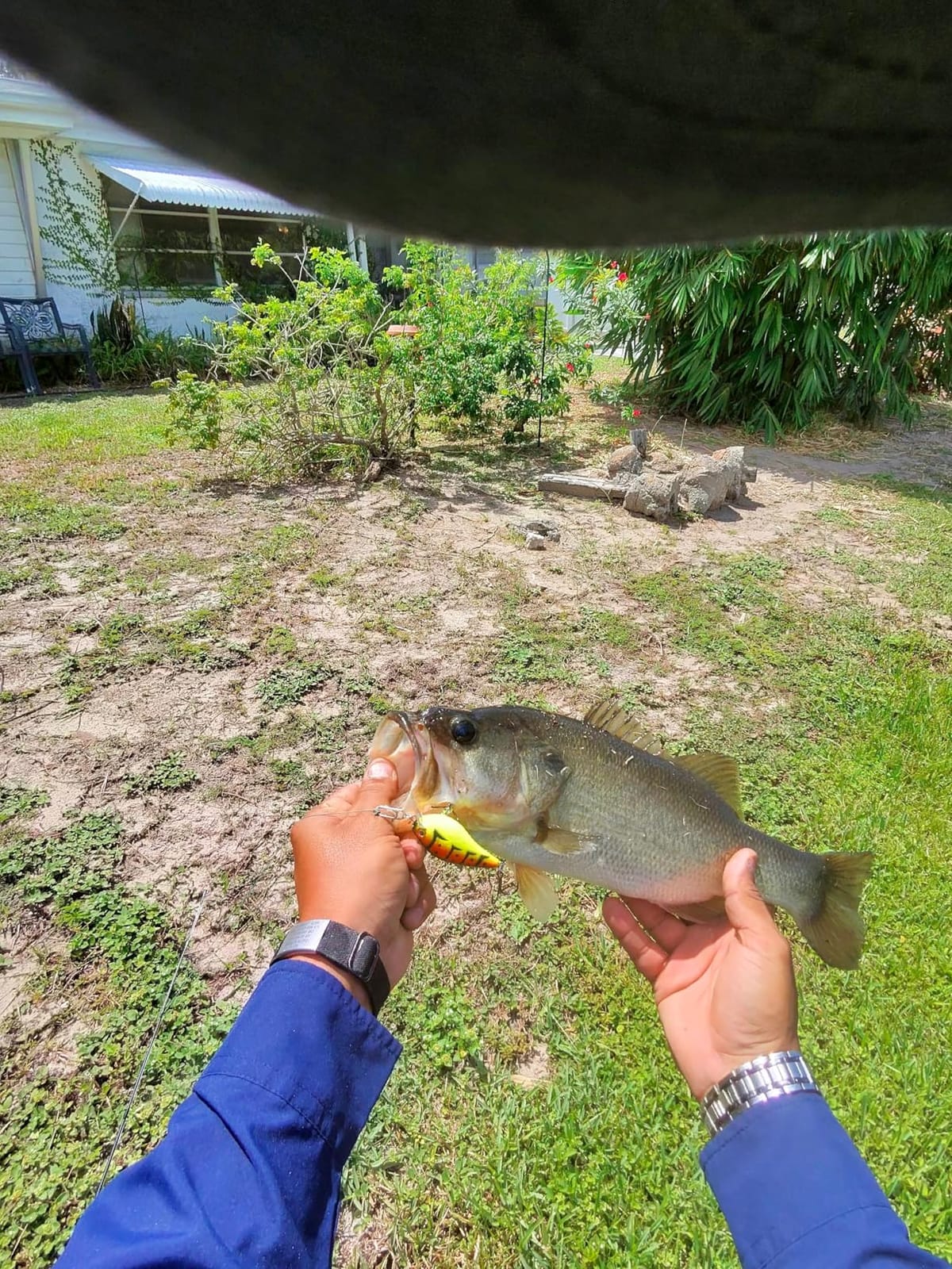 Strike King KVD 1.5 Hard Knock Fishing Lure, 3/8 oz, 3D Lifelike Eyes customer photo 1