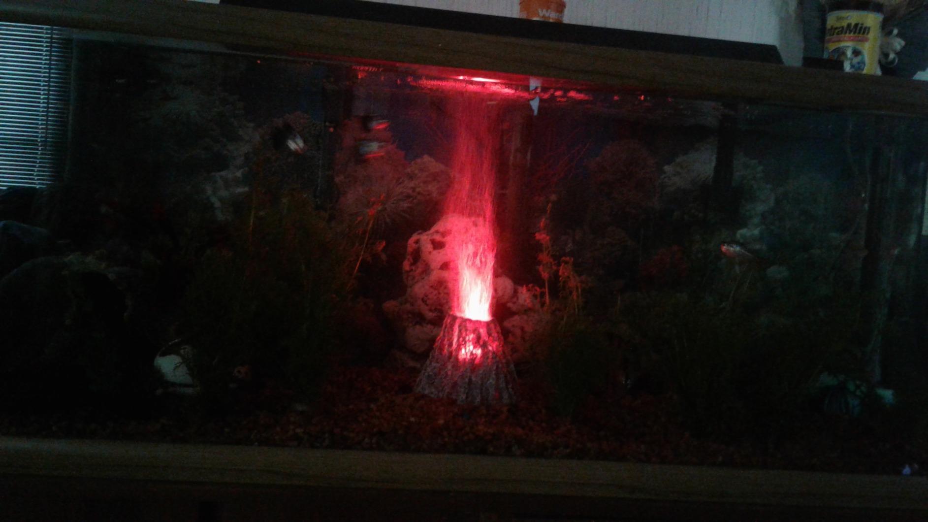 Hydor H2Show Volcano Kit - Red LED customer photo 2