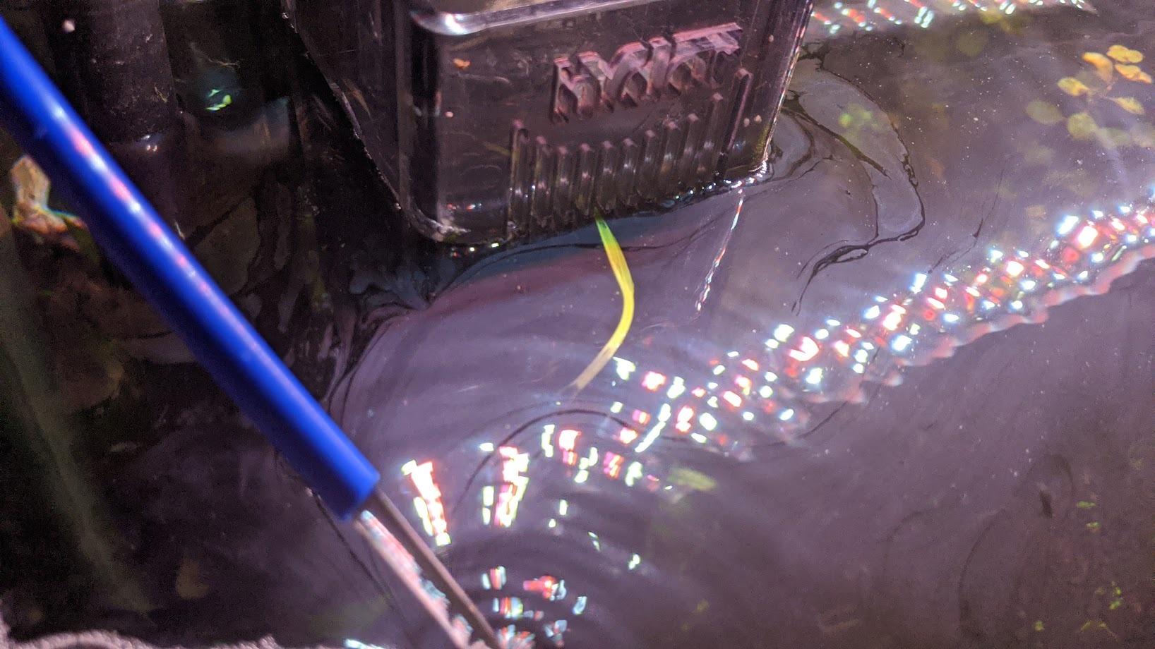 Hydor USA SlimSkim Nano Internal Skimmer for Mini Aquariums and Mini Reefs customer photo 2