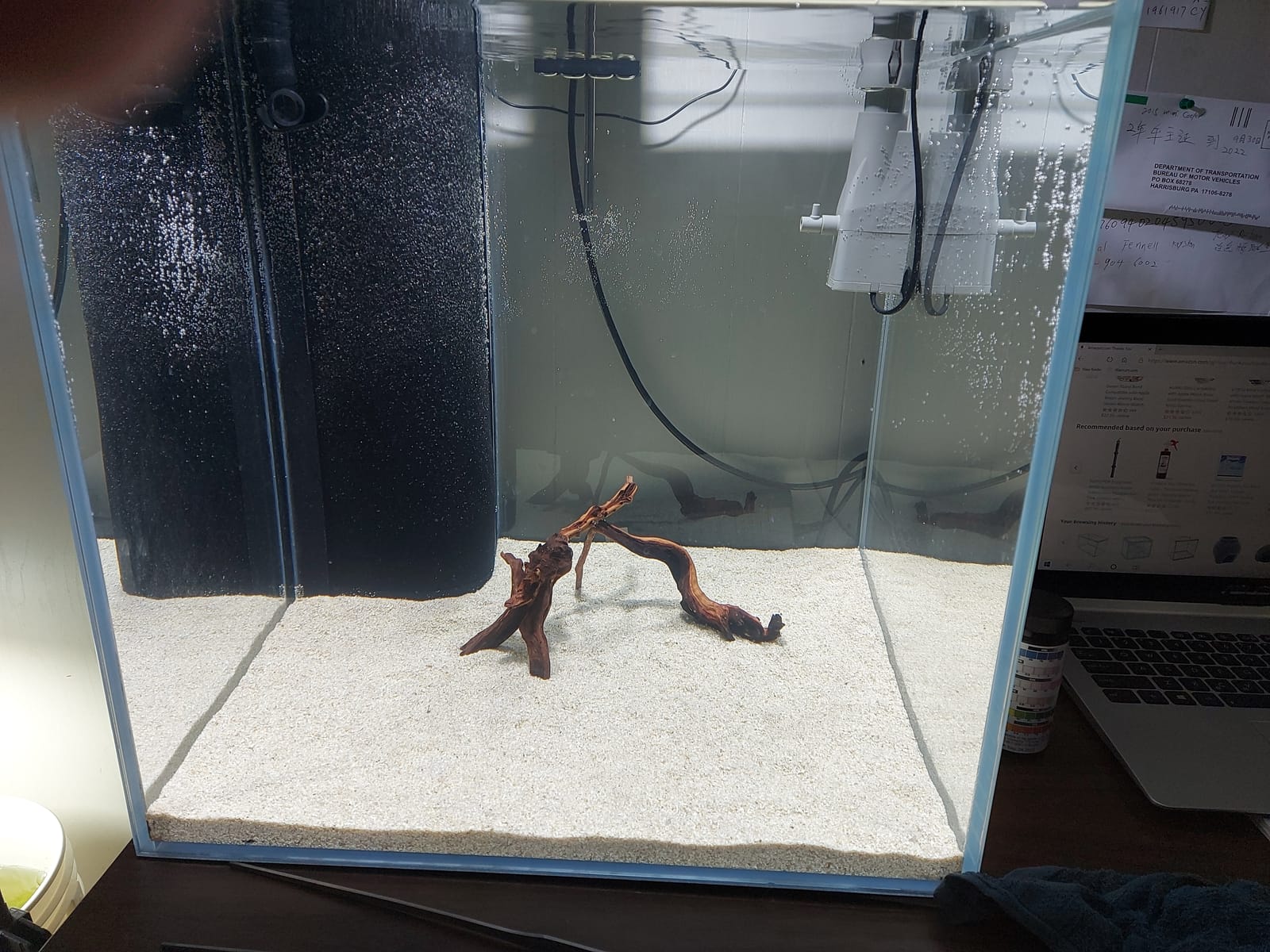 Shrimp Sand customer photo 1