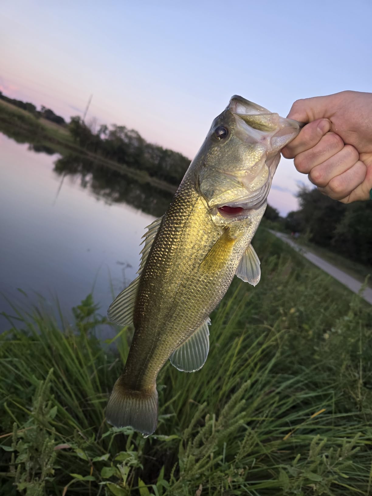 BOOYAH Pond Magic Small-Water Spinner-Bait Bass Fishing Lure customer photo 2