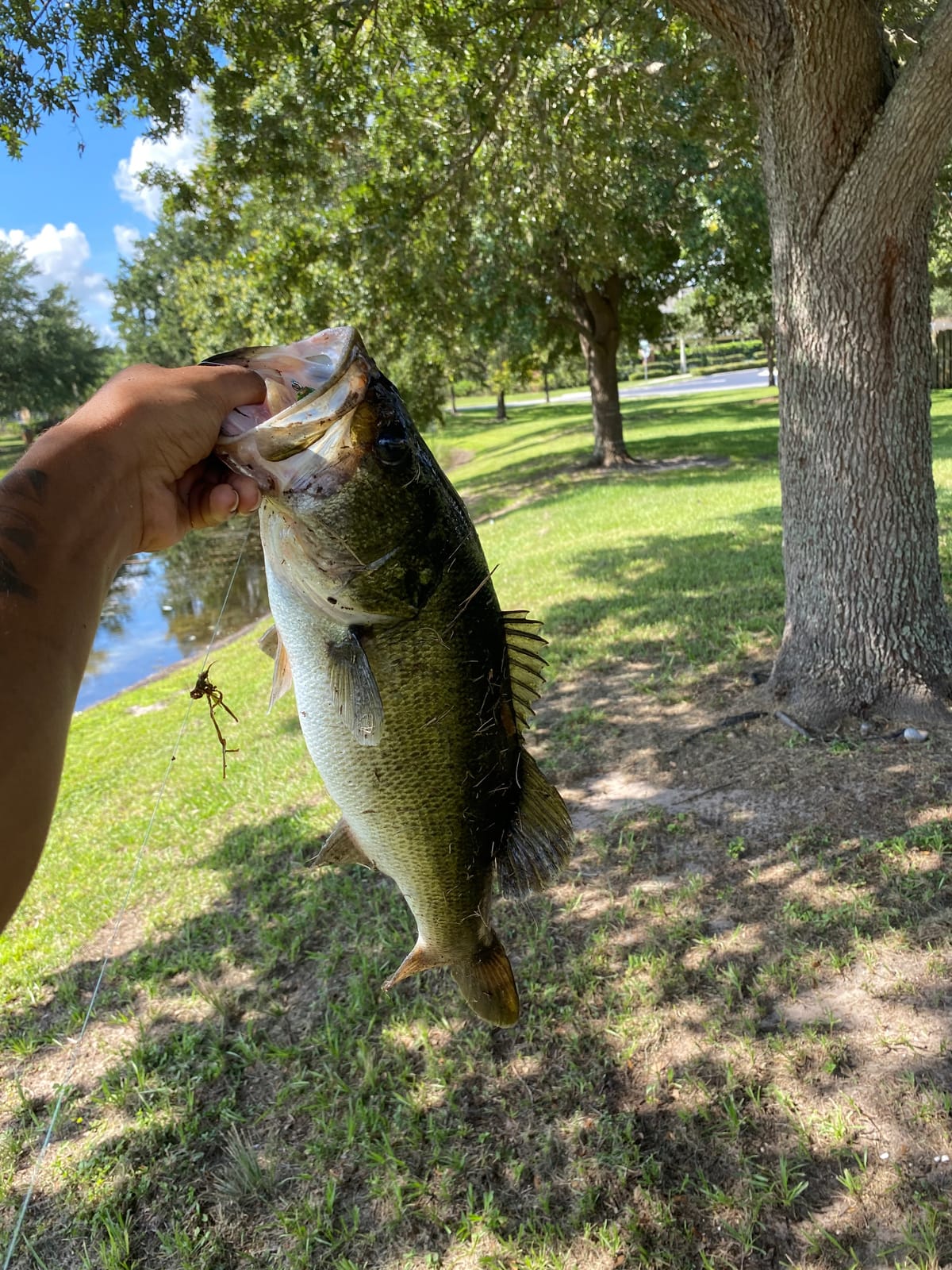 Booyah Pad Crasher Topwater Bass Fishing Hollow Body Frog Lure with Weedless Hooks customer photo 2