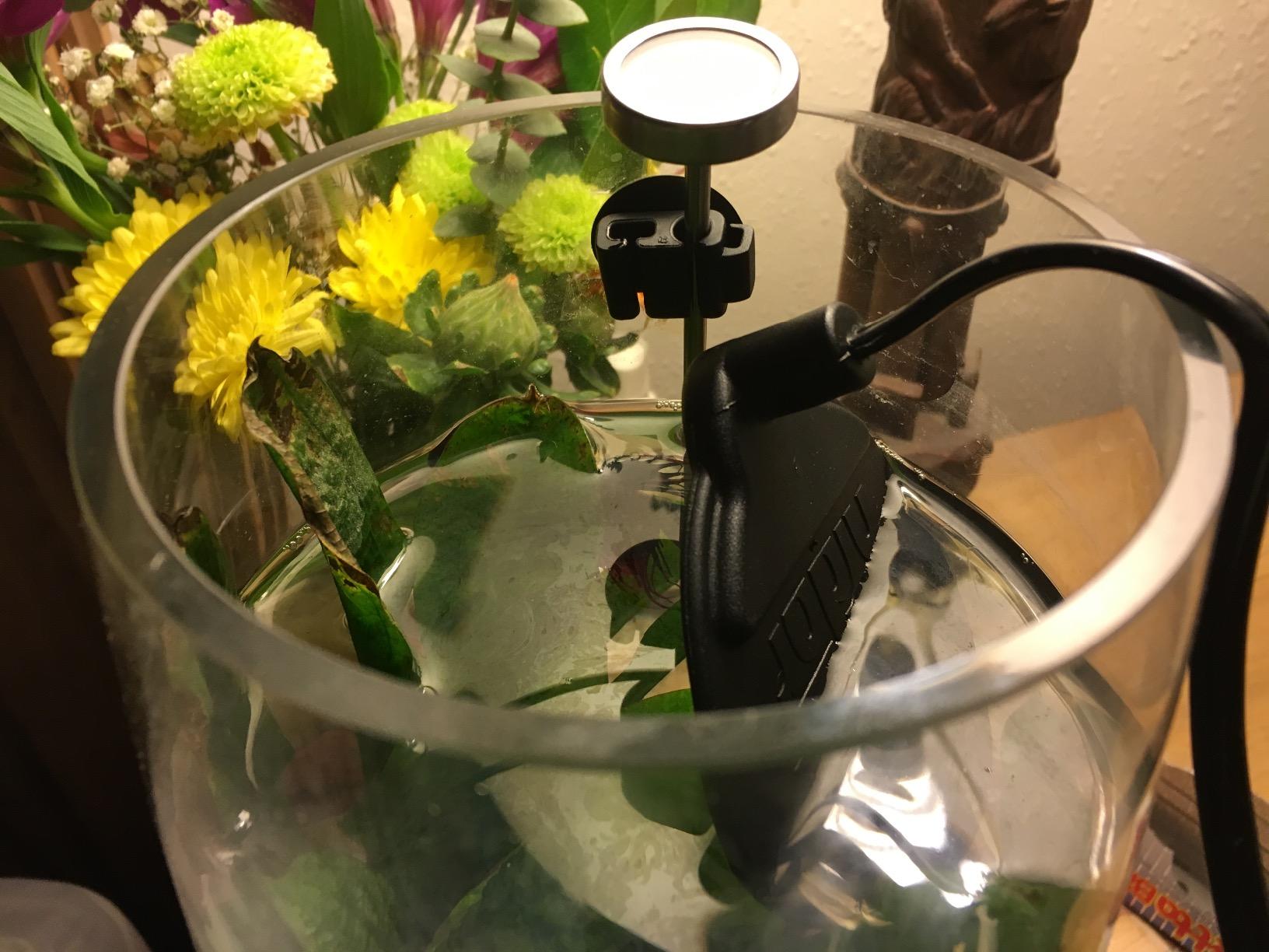 Hydor Betta Bowl Slim Fish Tank Heater, 7.5-watt, measures 3.5 inches round, black; For tanks 2-5 gallons customer photo 1