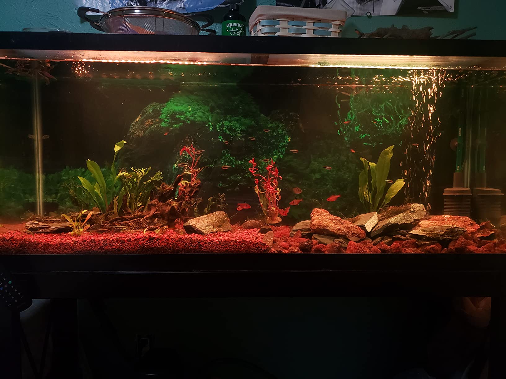 Eheim 6664 Prefilter customer photo 1