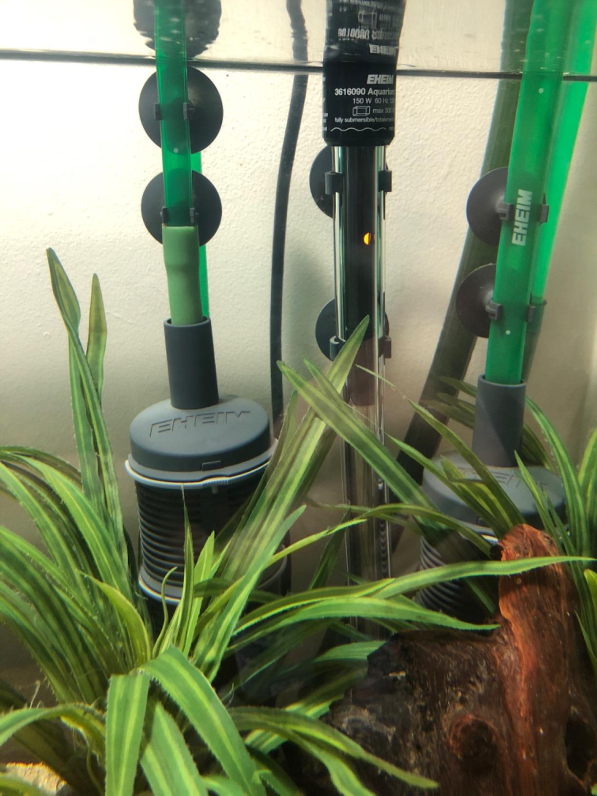 Eheim 6664 Prefilter customer photo 2