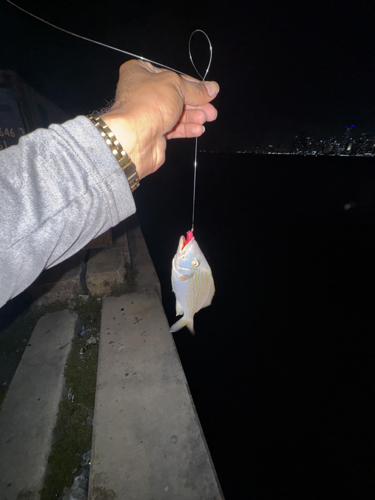 Fishbites E-Z Longer Lasting Shrimp Scented Saltwater Bait – 1/2