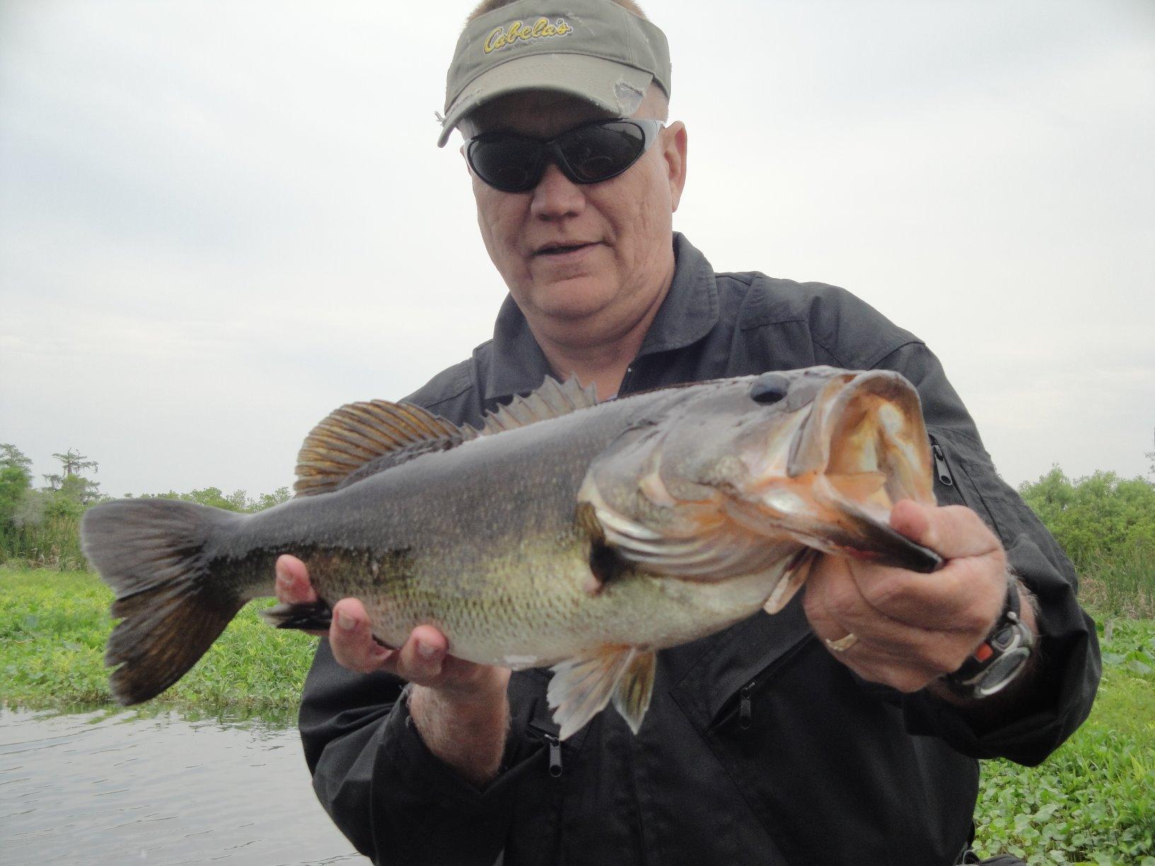 Z-Man Finesse WormZ Bait customer photo 1