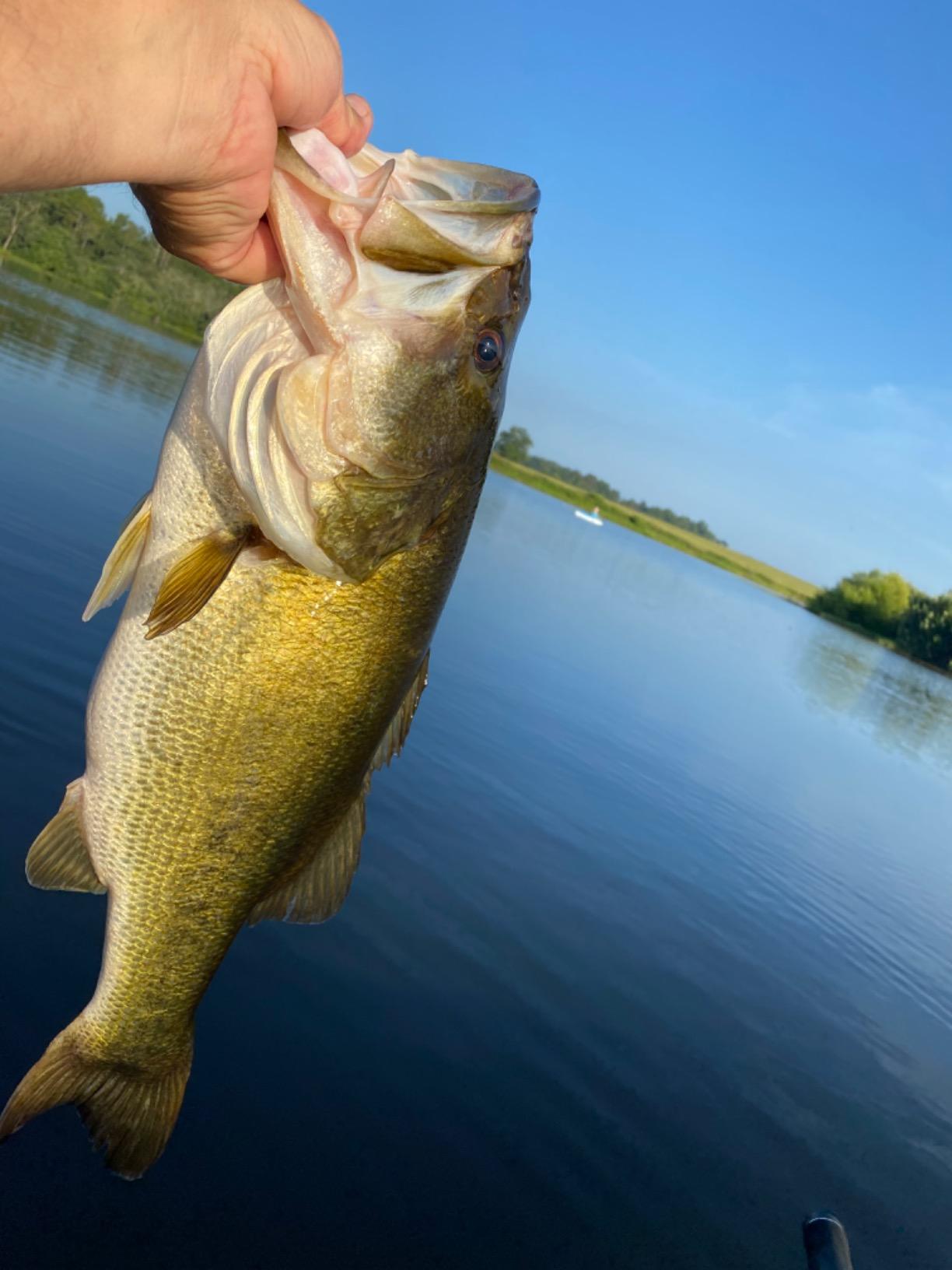 Heddon Chug'N Spook Popper Topwater Fishing Lure for Saltwater and Freshwater customer photo 2