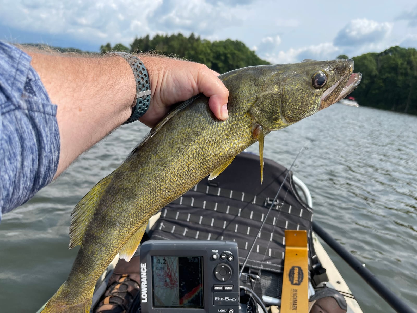 Mack’s Lure Smile Blade® Assorted 5-Pack customer photo 2