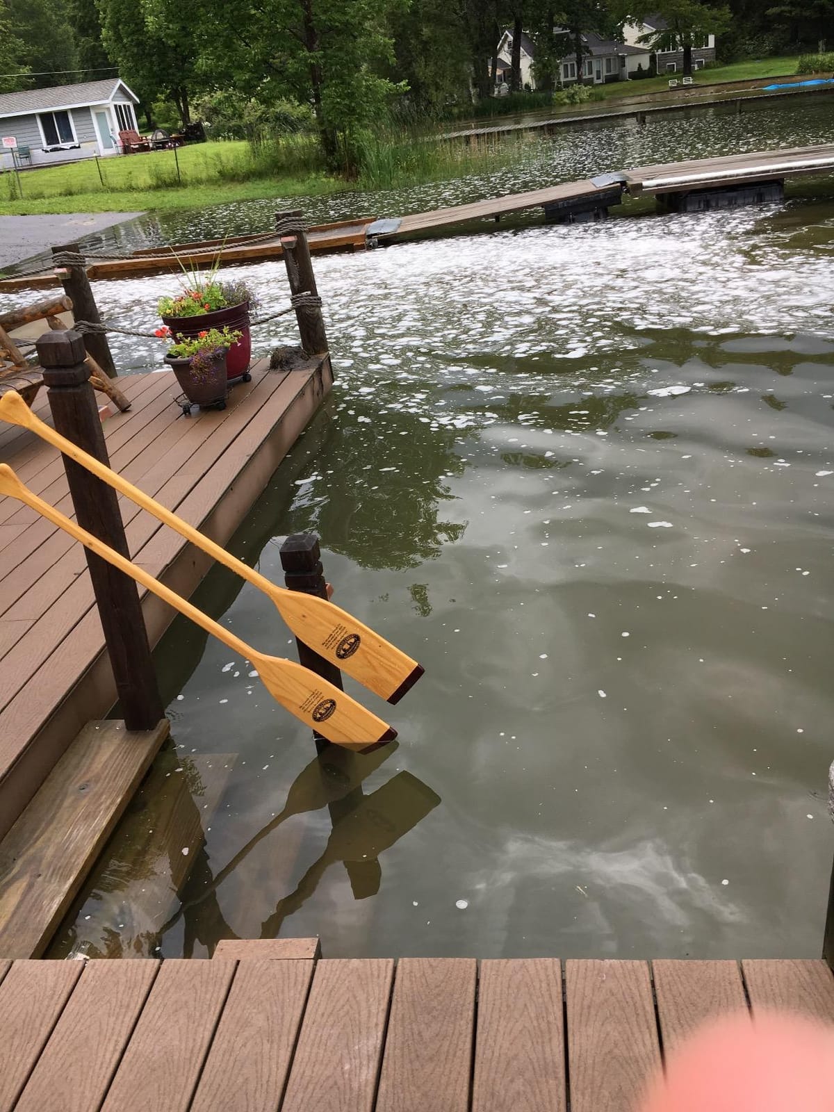 CROOKED CREEK 4-foot Wooden Boat Paddle - Features Multi-Ply Laminated Construction for Added Strength - Lightweight, Waterproof Finish (50431) customer photo 2
