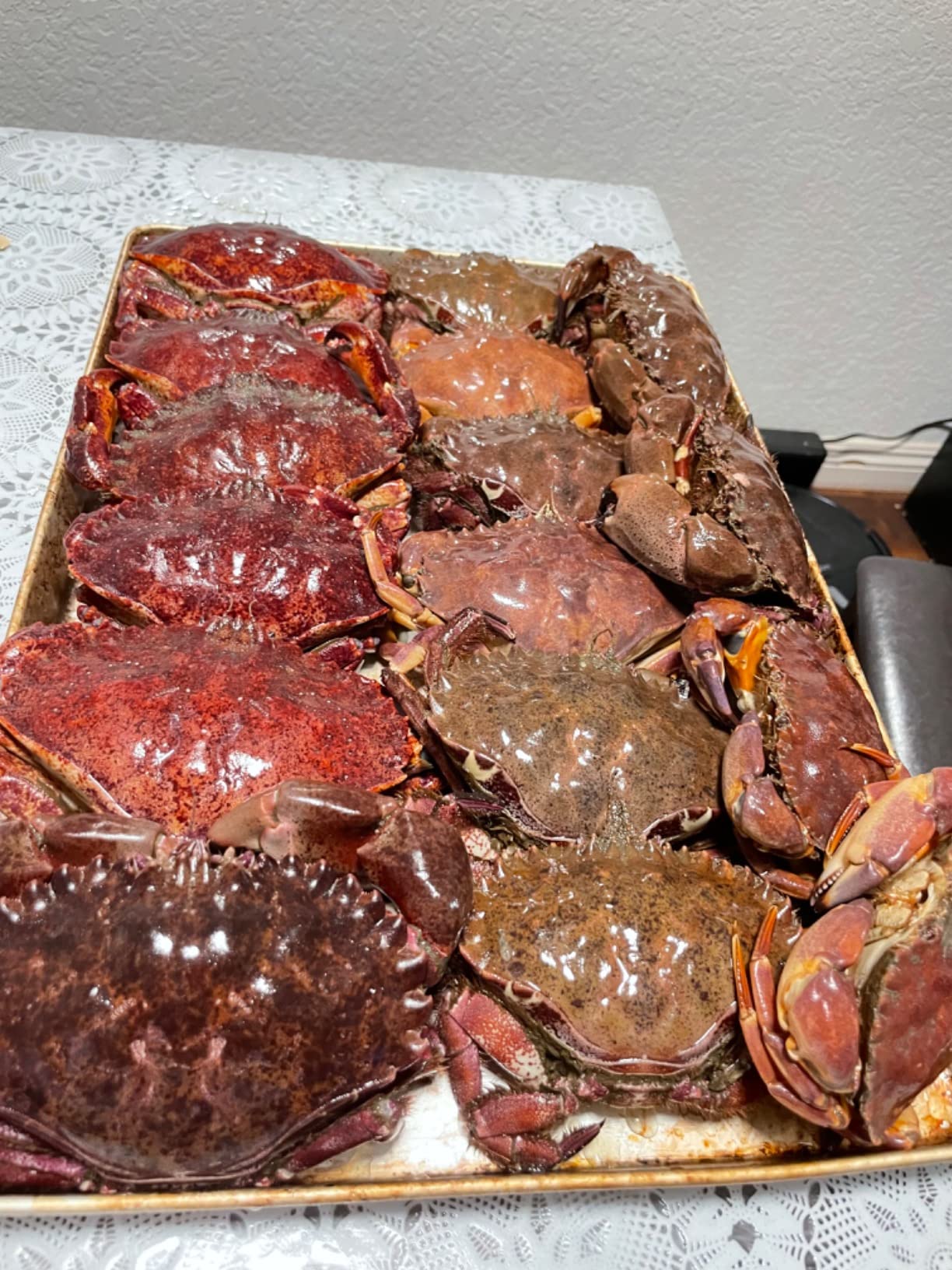 Pro-Cure Crab & Shrimp Attractant, 1/2 Gallon customer photo 1