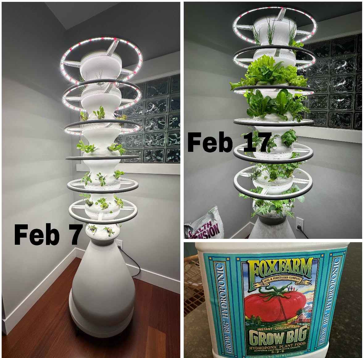 FoxFarm Grow Big Hydroponic Plant Food - 3-2-6 Liquid Plant Fertilizer for Lush Vegetative Growth in Hydroponic Systems - Liquid Concentrate with Earthworm Castings & Micronutrients - 1 Pint customer photo 1