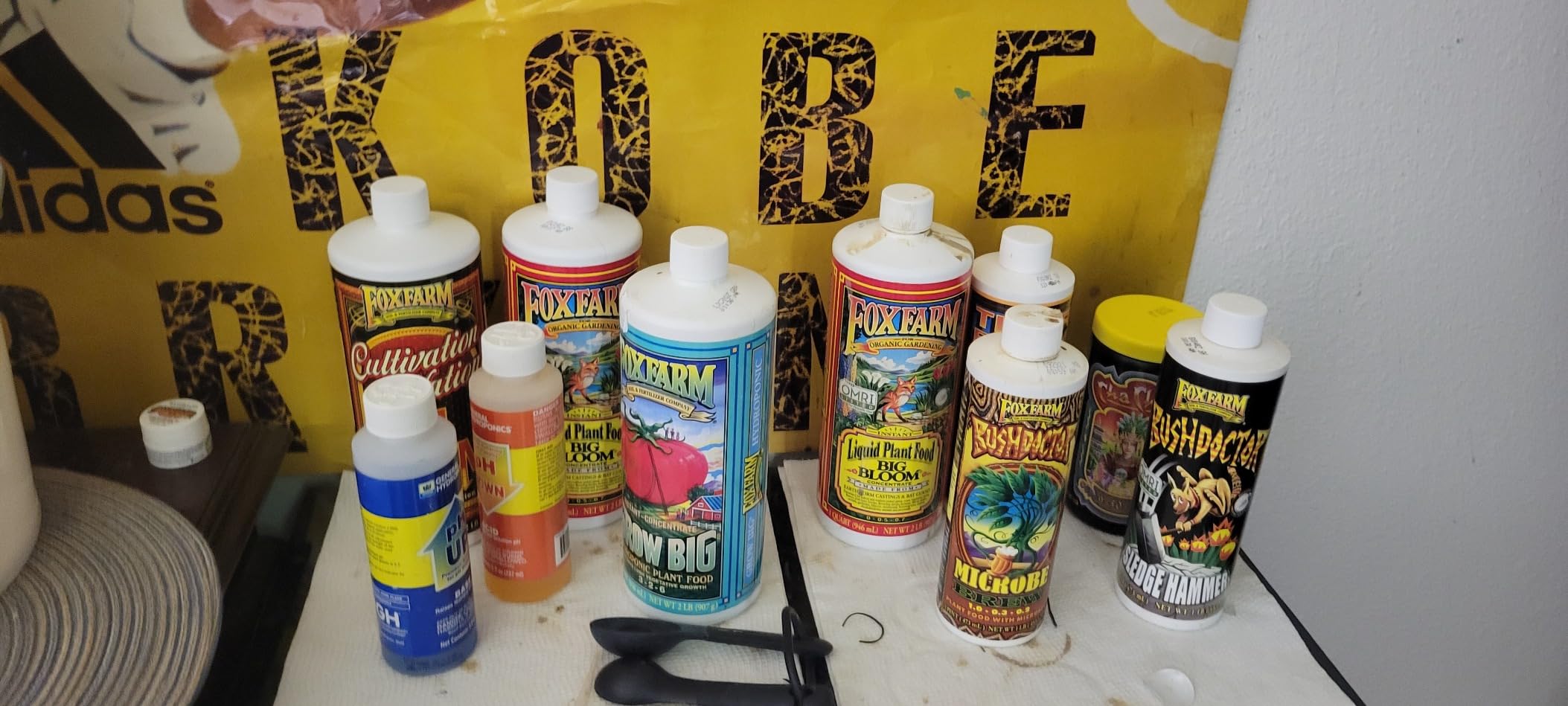 FoxFarm Grow Big Hydroponic Plant Food - 3-2-6 Liquid Plant Fertilizer for Lush Vegetative Growth in Hydroponic Systems - Liquid Concentrate with Earthworm Castings & Micronutrients - 1 Pint customer photo 2