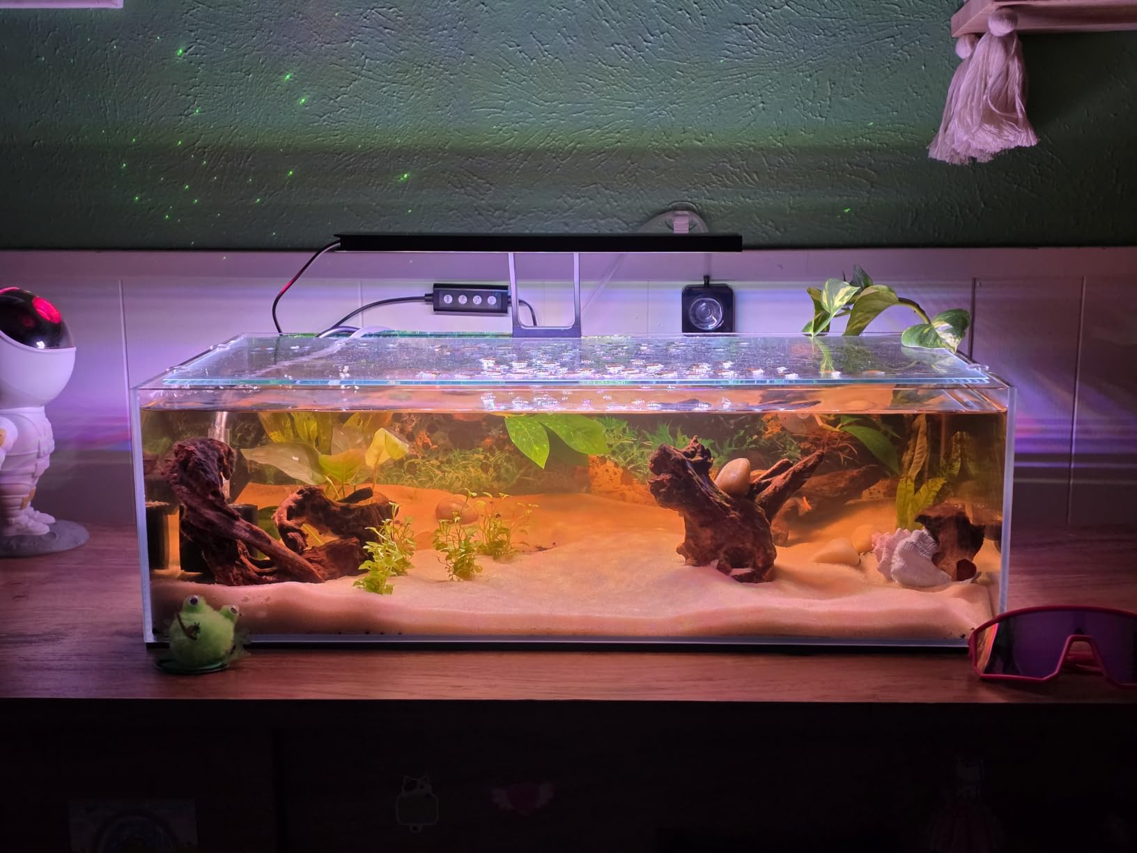 LANDEN Aquarium 60H 30 Gallon Ultra Clear Glass Rimless Fish Tank customer photo 2