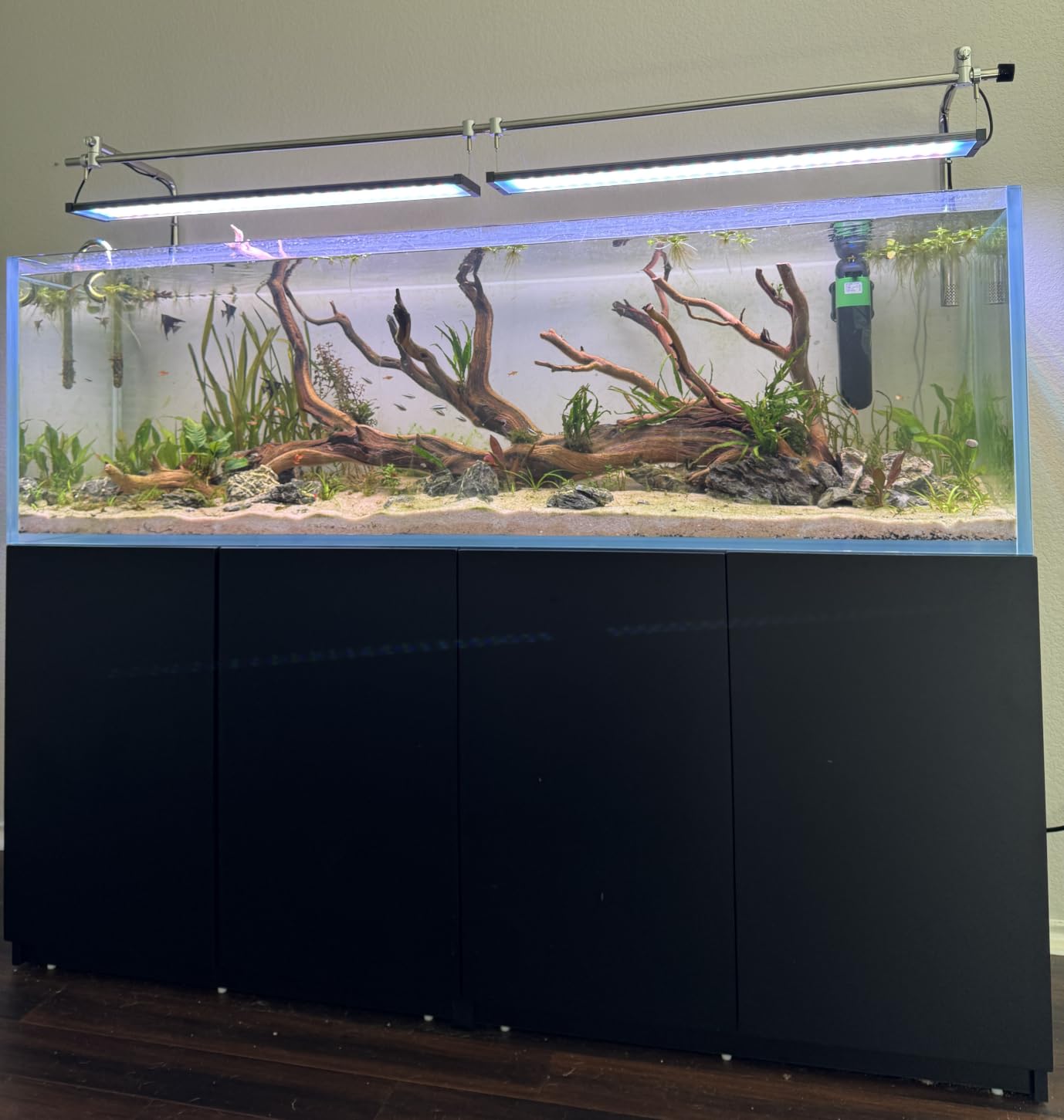 LANDEN Aquarium Cube 6.6 Gallon Ultra Clear Glass Rimless Fish Tank 30C customer photo 2