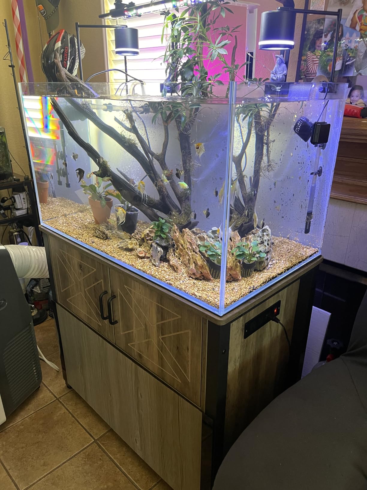 Landen Aquarium 36N 5 Gallon Nano Ultra Clear Glass Rimless Fish Tank customer photo 1