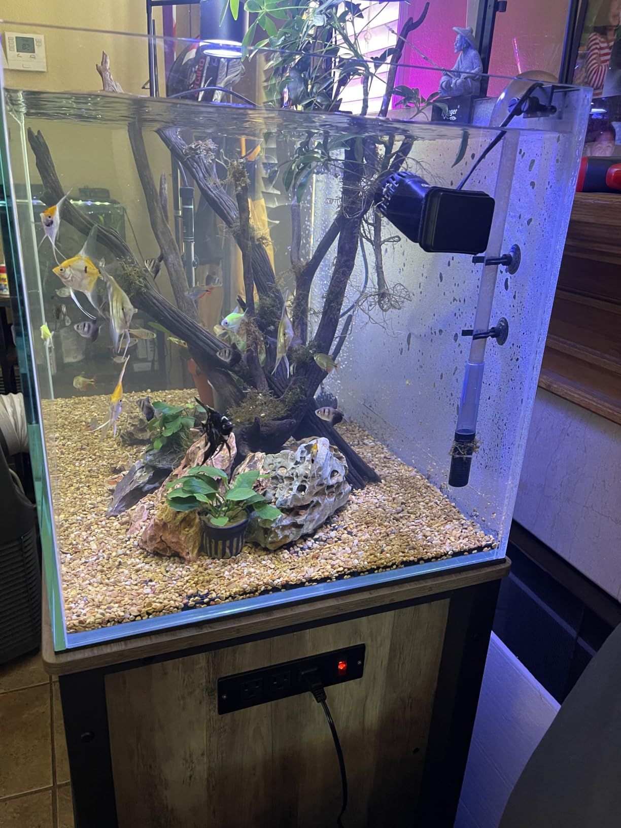 Landen Aquarium 36N 5 Gallon Nano Ultra Clear Glass Rimless Fish Tank customer photo 2