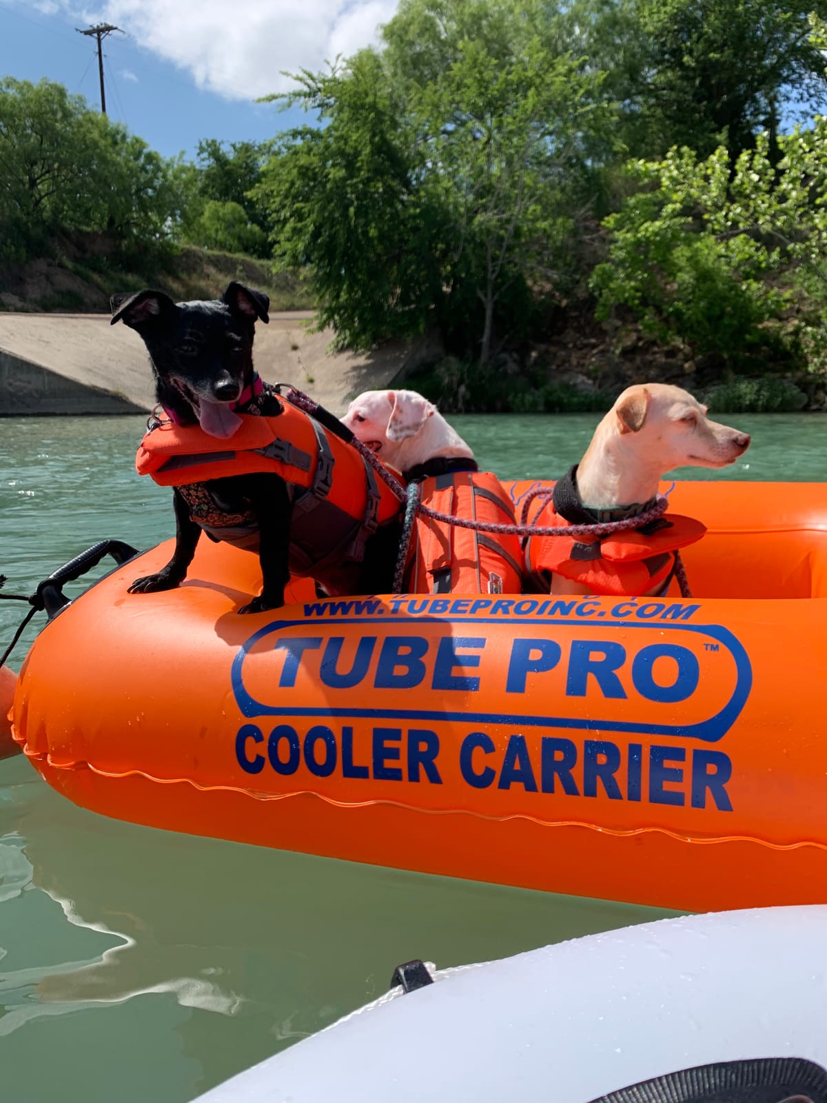 Tube Pro Premium Orange River Cooler Carrier 50 Quart- Heavy Duty, Commercial Grade, Inflatable customer photo 2