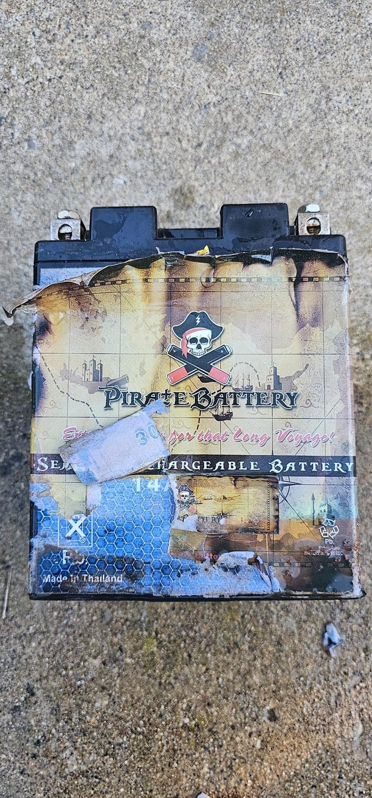 Pirate Battery YB14A-A2 12V 190 CCA Conventional – 14 Ah Battery for ATV, Motorcycle, Snowmobile, Jet Ski – T3 Nut & Bolt Terminal – Fits Polaris Sportsman 90, Kawasaki KLX110 customer photo 1