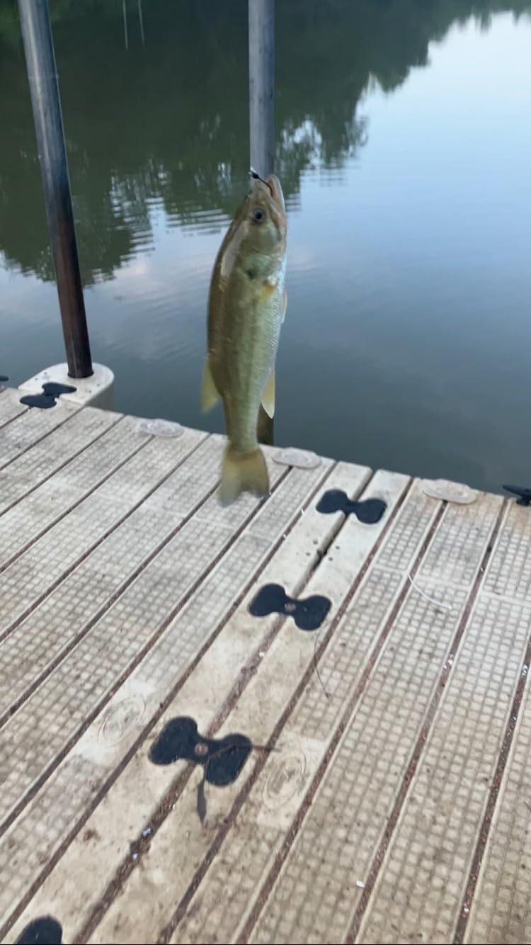 Berkley PowerBait Power Worms Fishing Soft Bait customer photo 2
