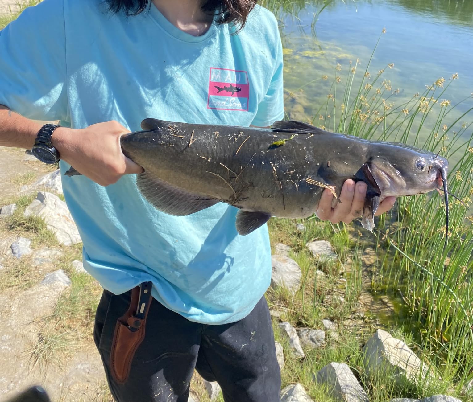 Abu Garcia Ambassadeur SX Baitcast Fishing Reel customer photo 1