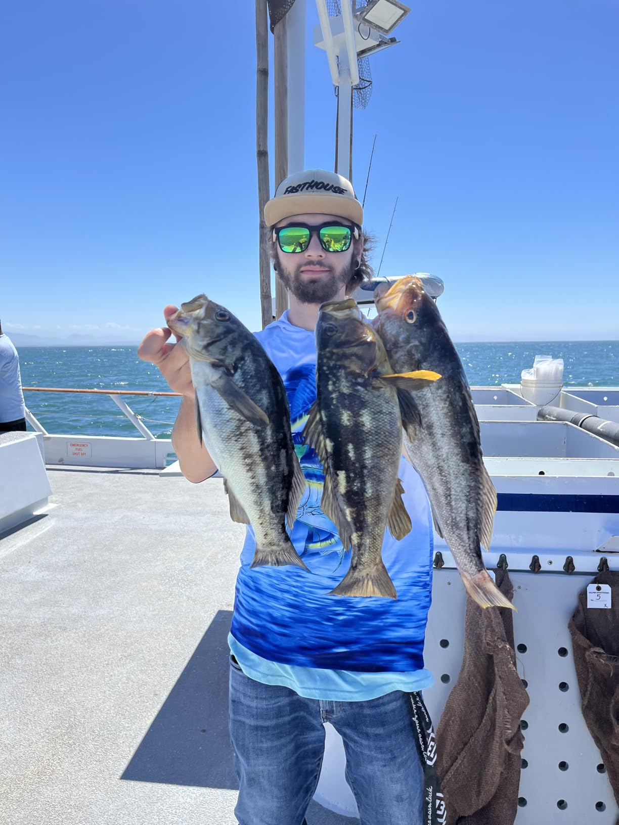 Abu Garcia Ambassadeur SX Baitcast Fishing Reel customer photo 2